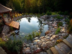 A natural pool area improves both the appeal of the outdoors and your health 600x450 1