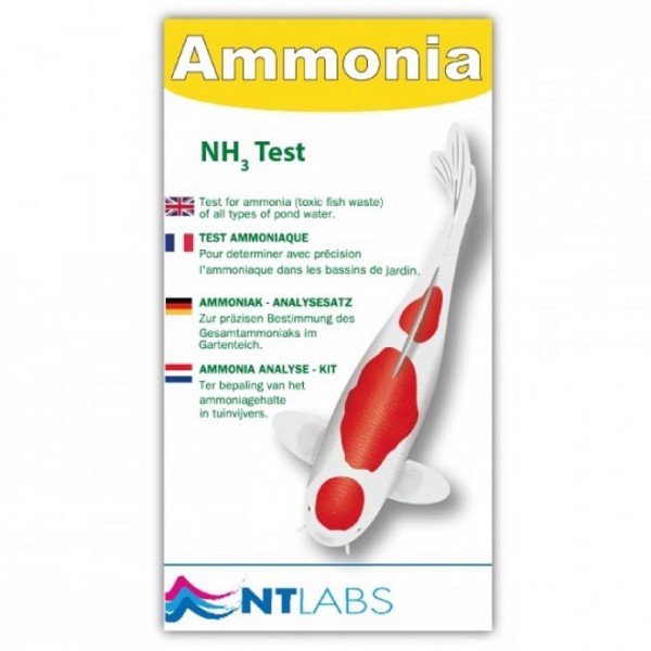 ammonia 600x600 1